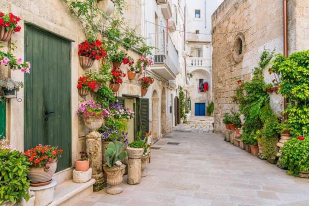 Il Mare In Citta. Appartamento Vista Mare Монополи Экстерьер фото